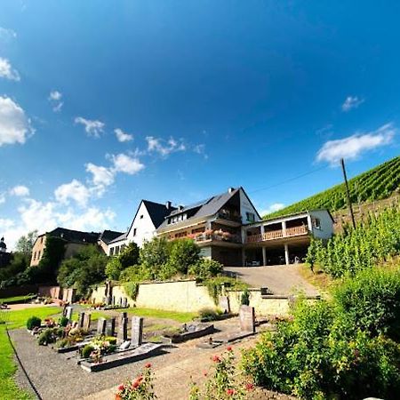 Chateau-De-La-Moselle Kinheim Kültér fotó