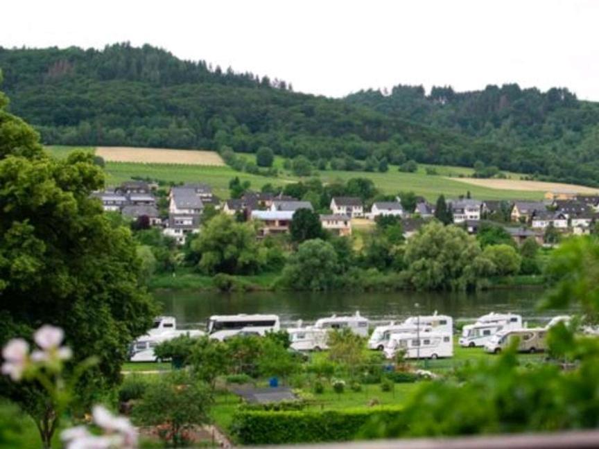 Chateau-De-La-Moselle Kinheim Kültér fotó