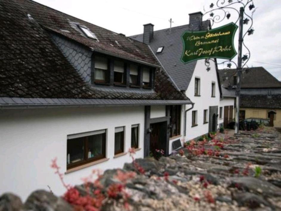 Chateau-De-La-Moselle Kinheim Kültér fotó