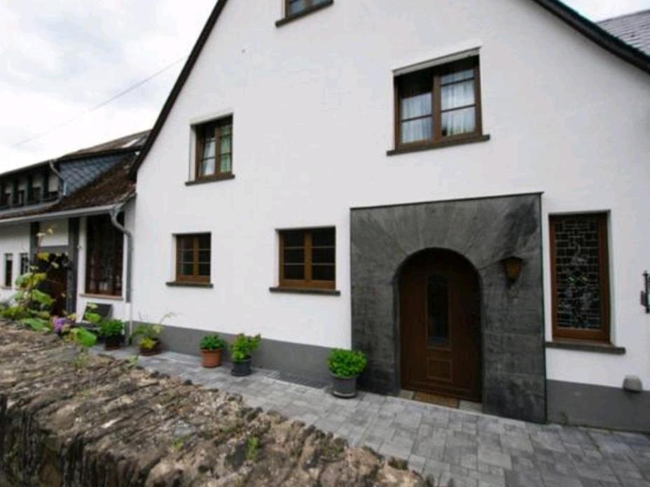 Chateau-De-La-Moselle Kinheim Kültér fotó