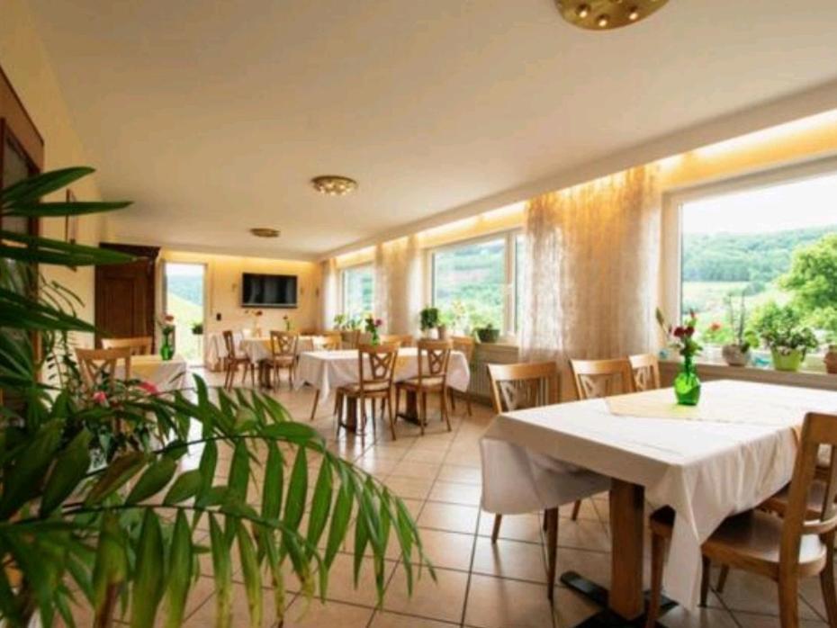 Chateau-De-La-Moselle Kinheim Kültér fotó
