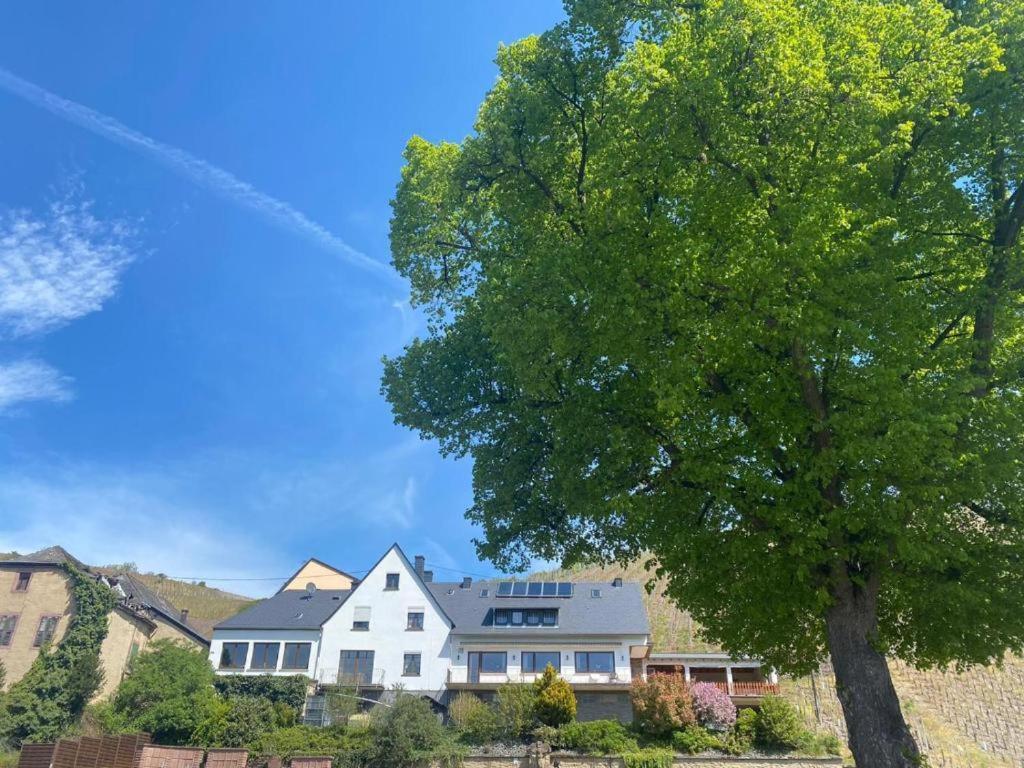Chateau-De-La-Moselle Kinheim Kültér fotó